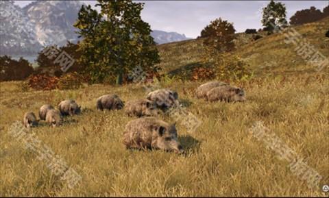 猎人之路狂野欧洲