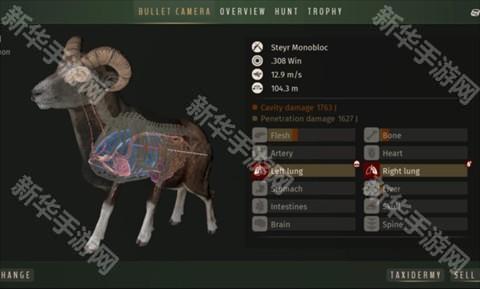 猎人之路狂野欧洲