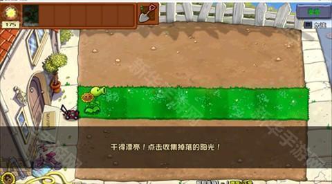 植物大战僵尸杂交版3.9.9