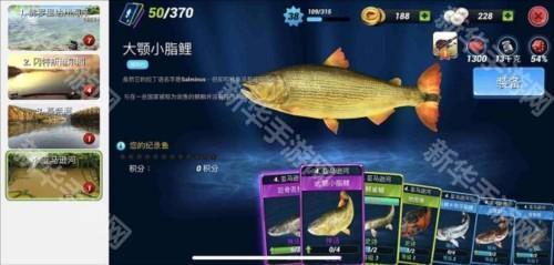 钓鱼冲突游戏攻略5