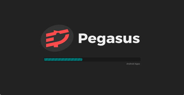 Pegasus模拟器