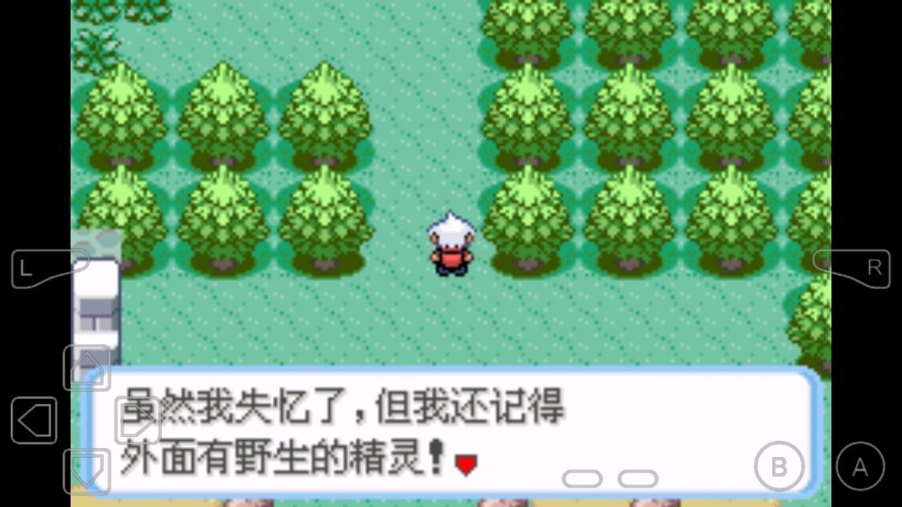 口袋妖怪蛇纹木手机版