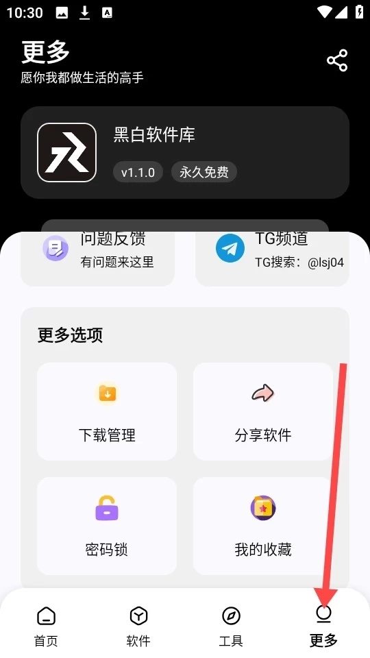 黑白软件库免费版
