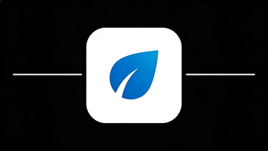 小星记账版本合集