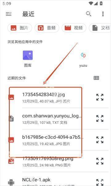 NetherSX2模拟器汉化版