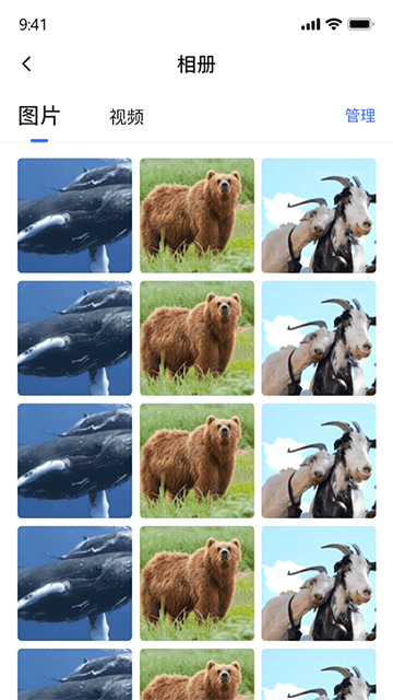 密盒虚拟机高级版