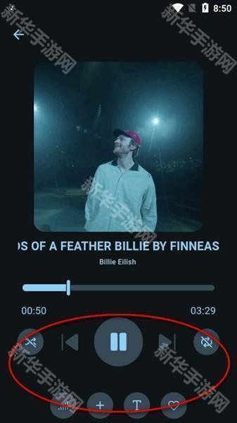 Musify音乐下载器
