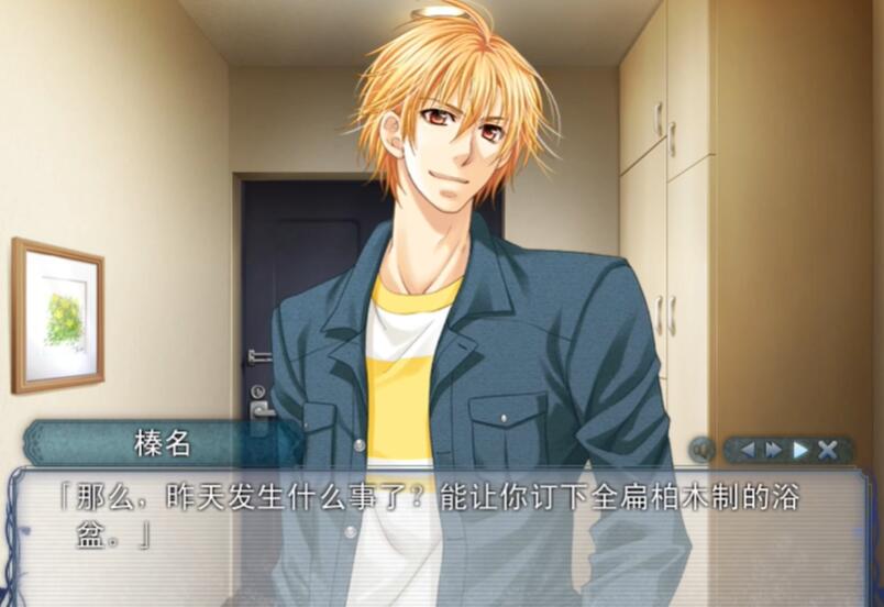 银之冠碧之泪截图4