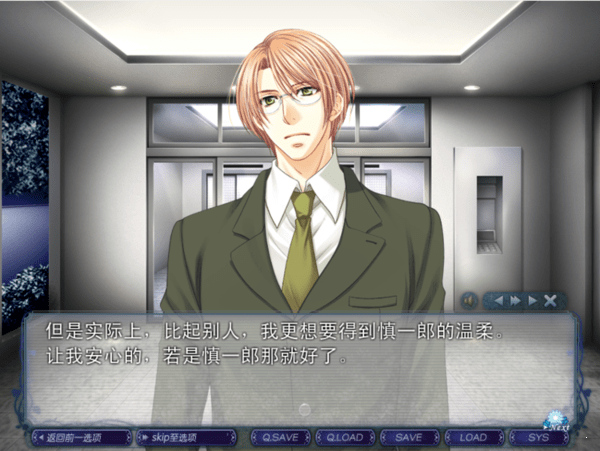 银之冠碧之泪汉化版