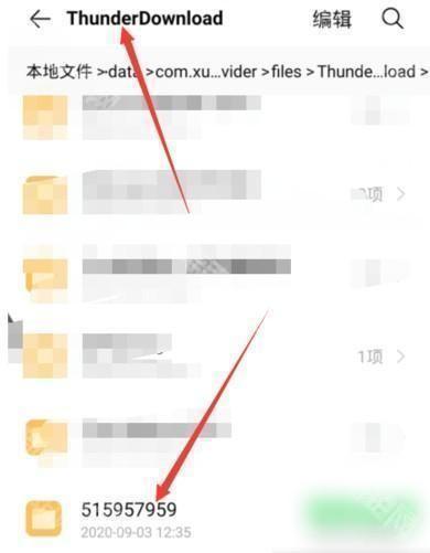 手机迅雷破解SVIP年费版使用方法5