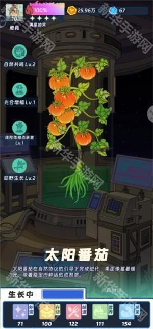 宇宙农场物语2026